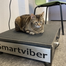Katt på Smartviber