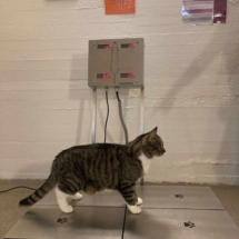 sockan på smartcheck